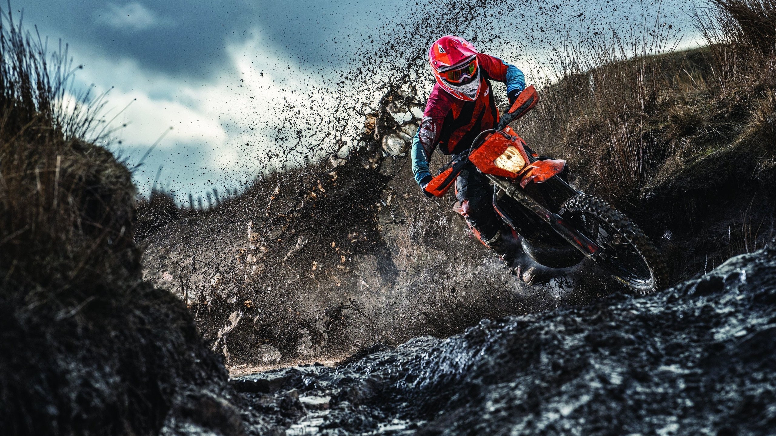 Karsa传奇回归，携手法国队问鼎世界冠军！